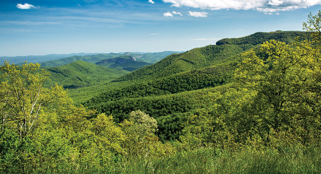 Black Mountain, North Carolina A Southeastern Haven Trail Runner