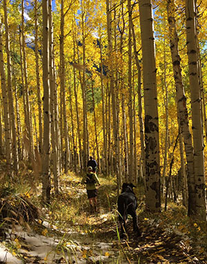 Fall colors at the Deep Creek Trail Half.