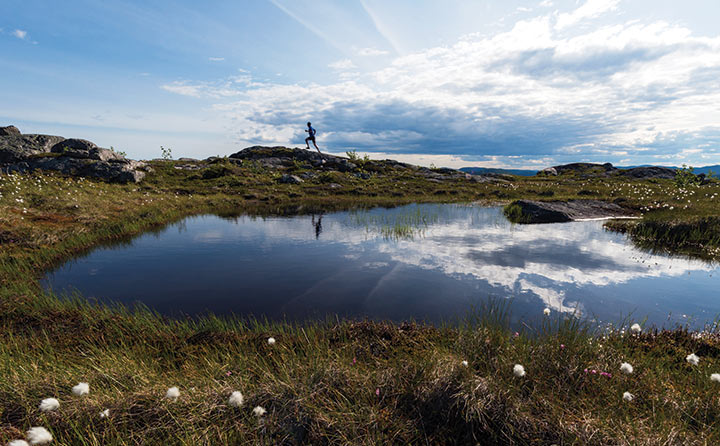 Get off the beaten path in La Malbaie, "the country of the moose, the beaver, the wolf and the whale."