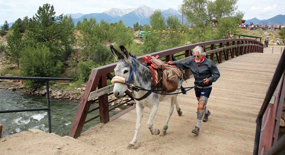 Remembering Burro Racer Curtis Imrie