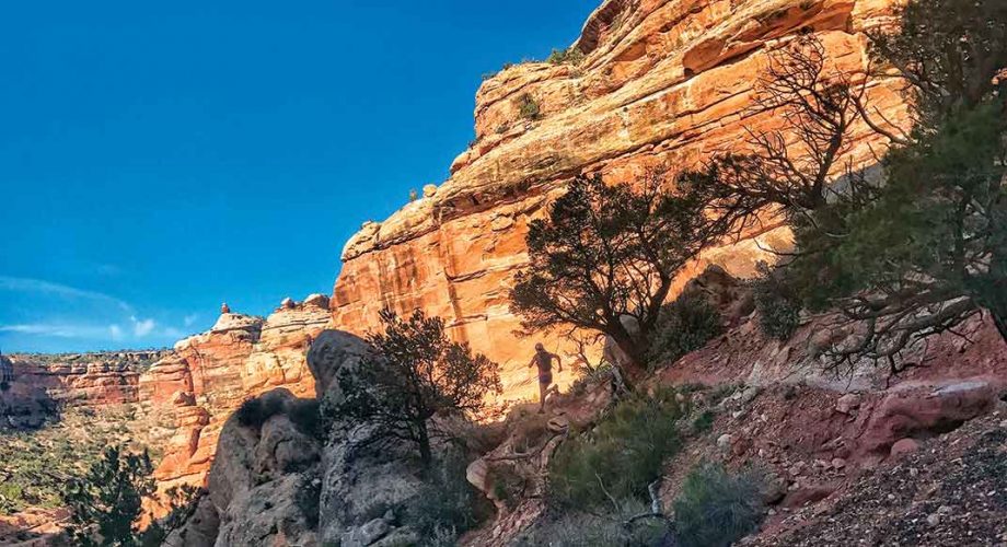 Public Lands Are Under Siege. Here's What Trail Runners Need to Know.