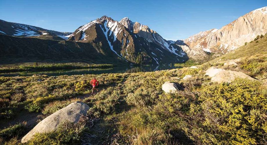 Pro Tips for Your 2018 Training