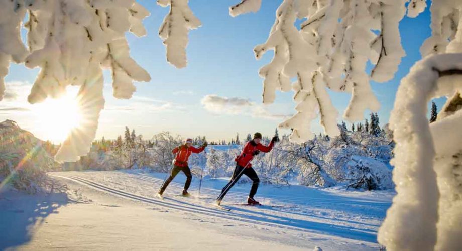 Cross-Country Skiing Is Ideal Cross-Training for Trail Runners