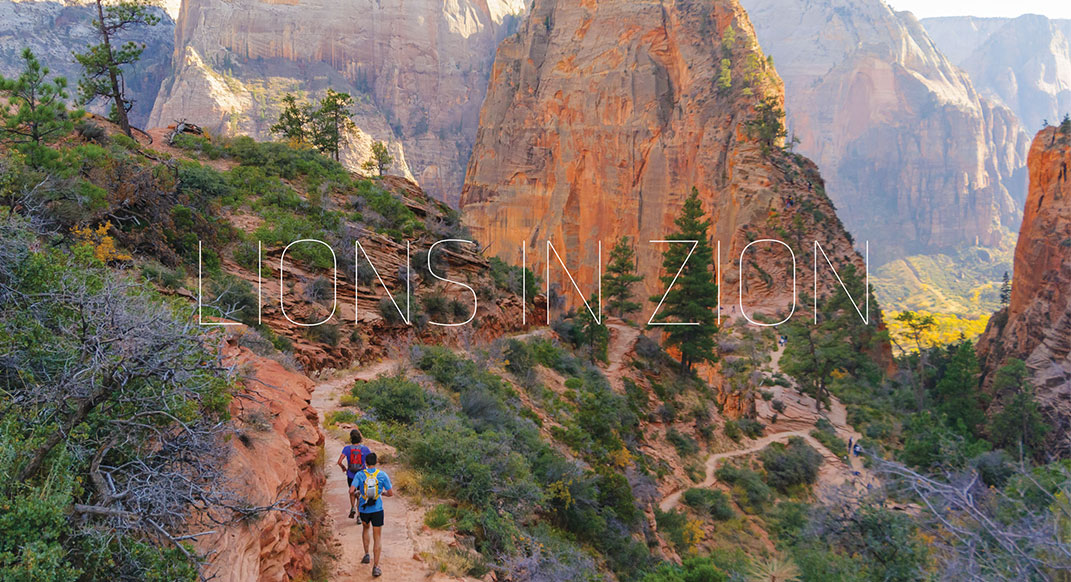 Lions in Zion