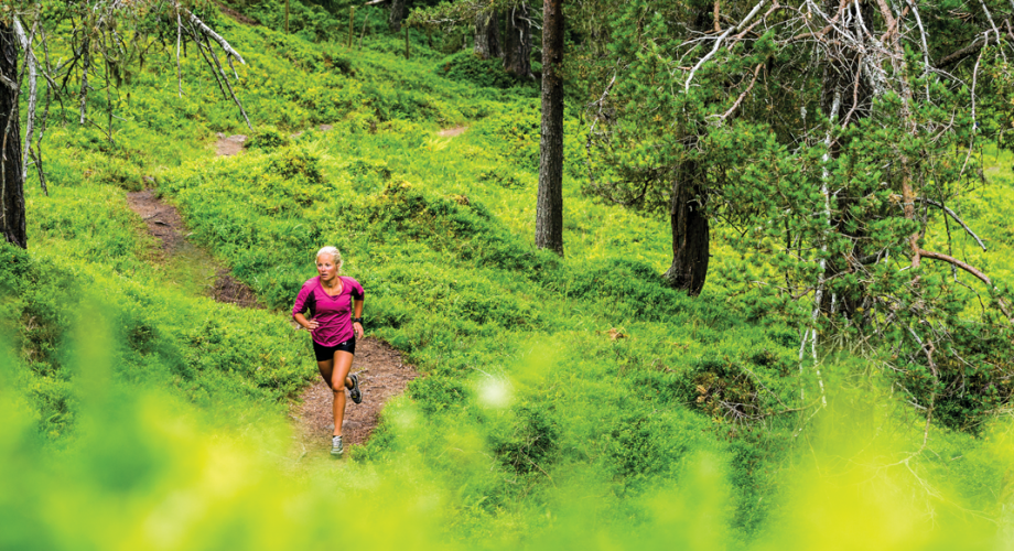 Is Your Training Unproductive?