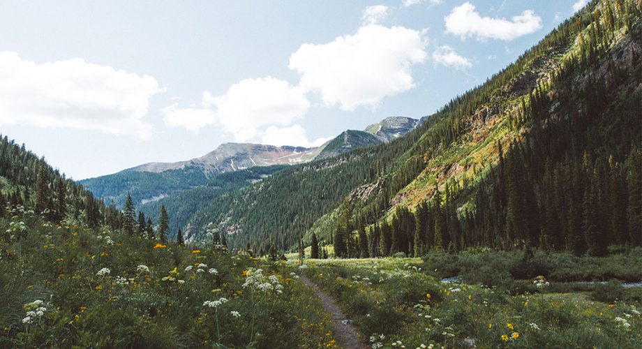 Ask The Coach: How do You Know if You’re Ready to Run an Ultramarathon?
