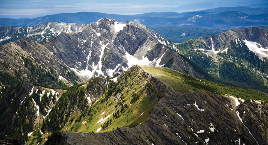Alpine Vibes