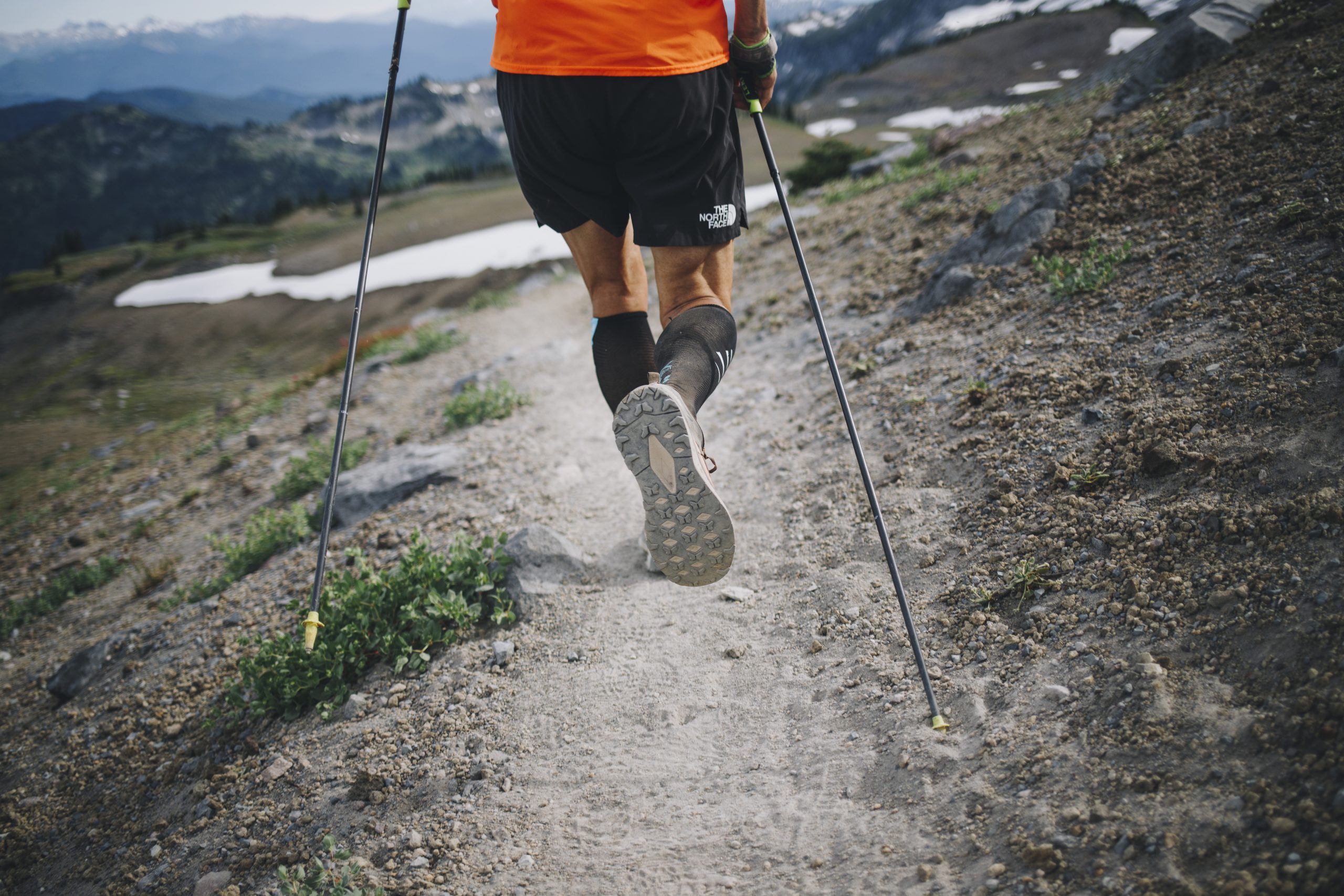 north face trekking pole